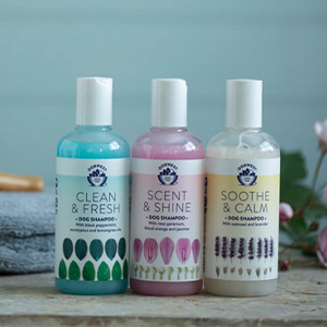 Clean and fresh Lifestyle 1