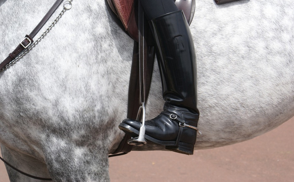 Zinc Alloy Narrow Spur