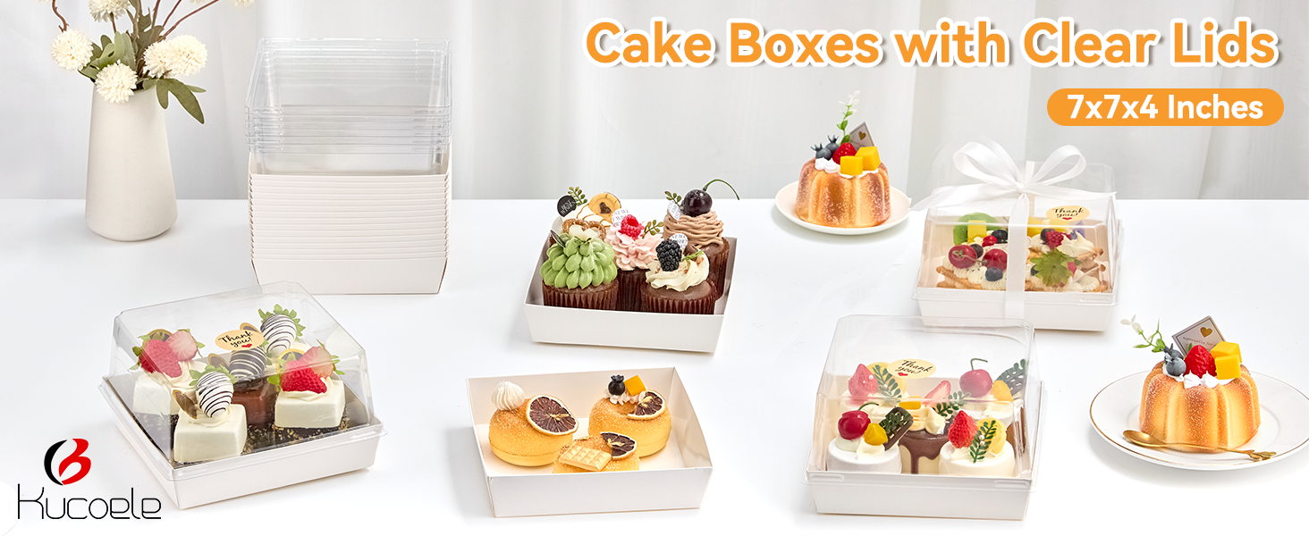 cake containers