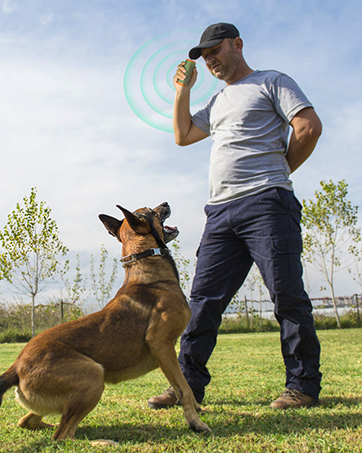 Dog Bark Deterrent Devices