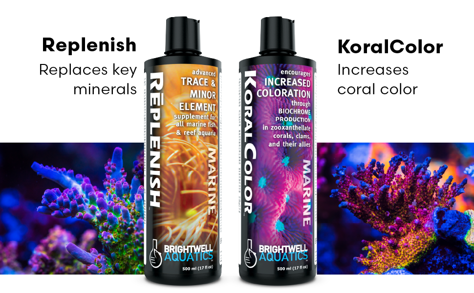 補充/Replenish Amazon.com : Brightwell Aquatics Rēplenish – Premium Trace