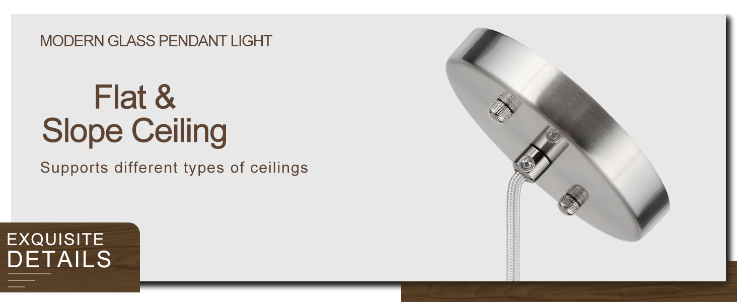 Brushed Nickel pendant light