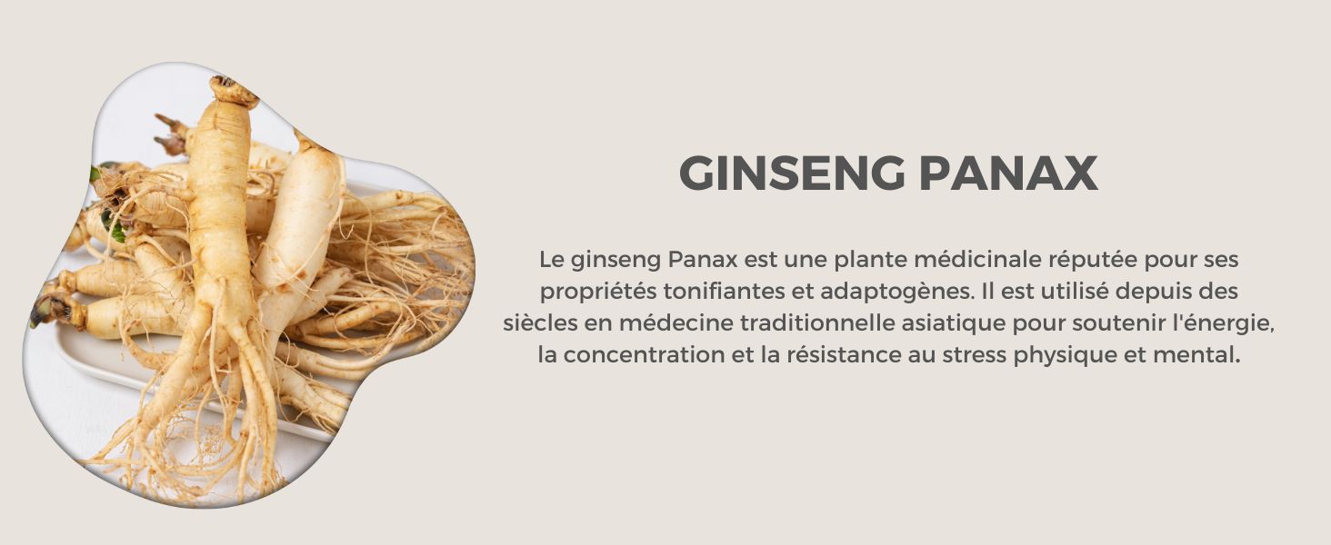 Le texte indique « GINSENG PANDA ». Document ou papier dont le texte et les illustrations sont affichés dans plusieurs vues.