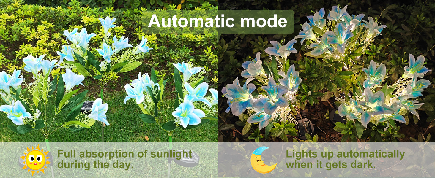 solar flowers