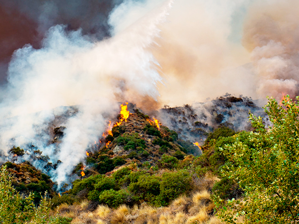 air purifier for bedroom