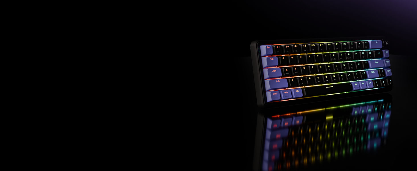 Hive65