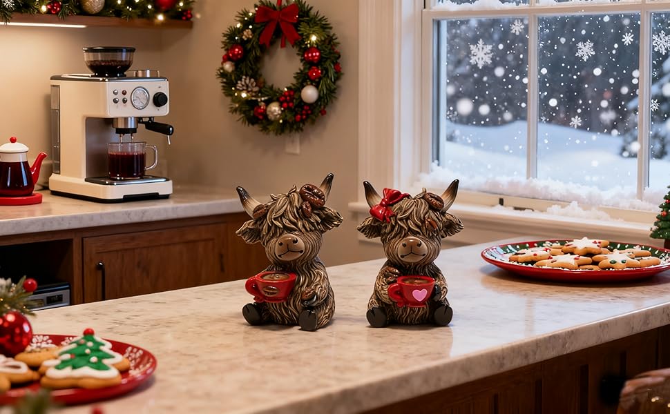 Highland cows with coffee