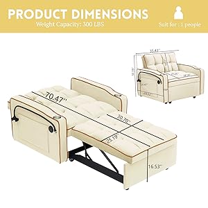 Single Pull Out Couch 