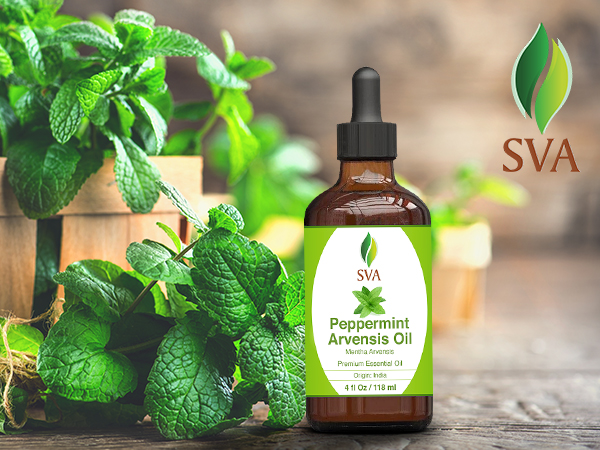 Essential oils kit, peppermint arvensis essential oil, minty and fresh aroma, best fragrance oils