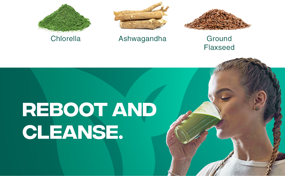 Reboot and Cleanse