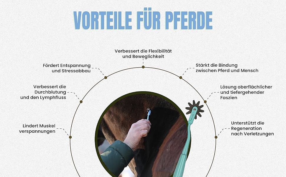 Aplus-Inhaltsbild