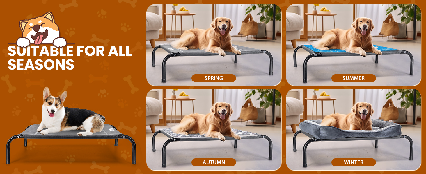 Das Hochbett für Haustiere ist in vier saisonalen Konfigurationen erhältlich und verfügt über verschiedene kühlende und wärmende Oberflächen, die das ganze Jahr über Komfort bieten. Inklusive robustem Design mit erhöhtem Rahmen.