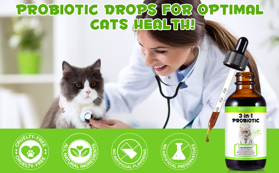 cat probiotic
