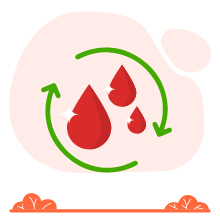 Purifies blood
