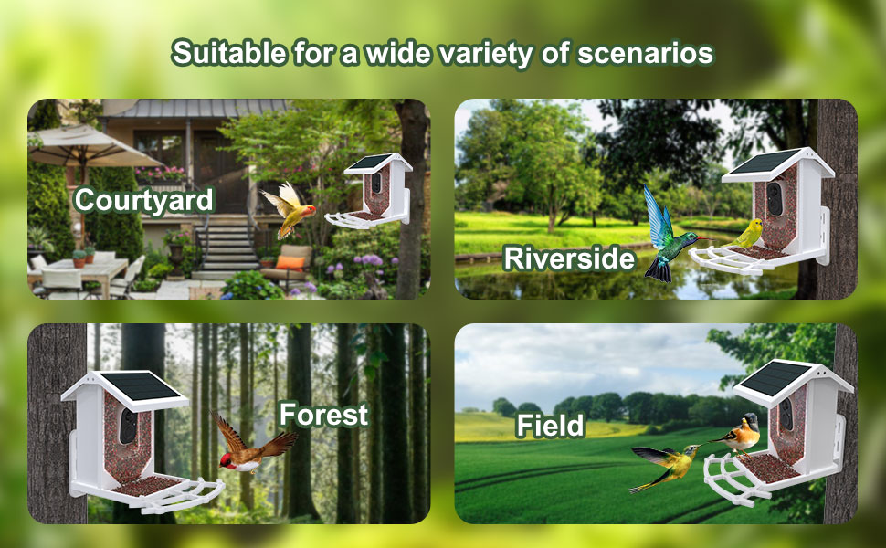 SolarPowered WiFi Bird Feeder with Camera Intelligent AI Bird