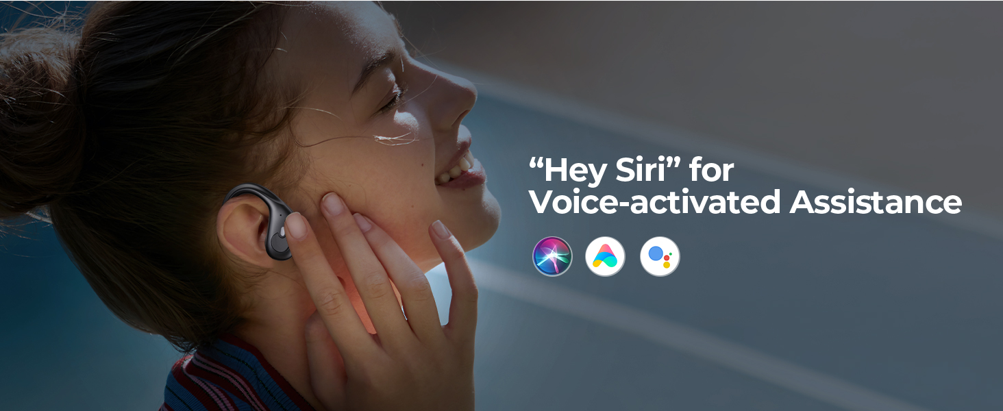 voice control