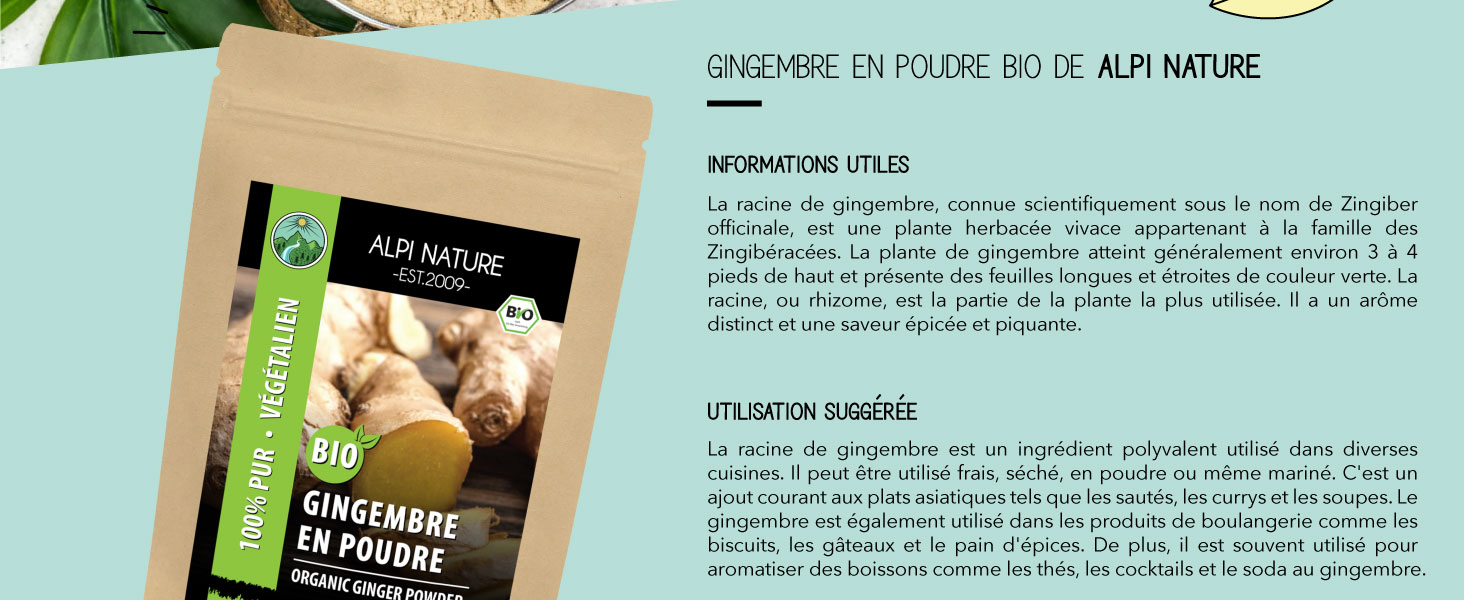 Ginger powder - Alpi Nature
