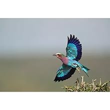 Small manufacture image 5