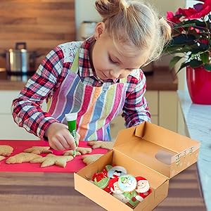 Christmas Cookie Boxes with Window