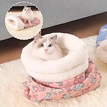 Indoor cat sleeping peacefully inside snugglebag