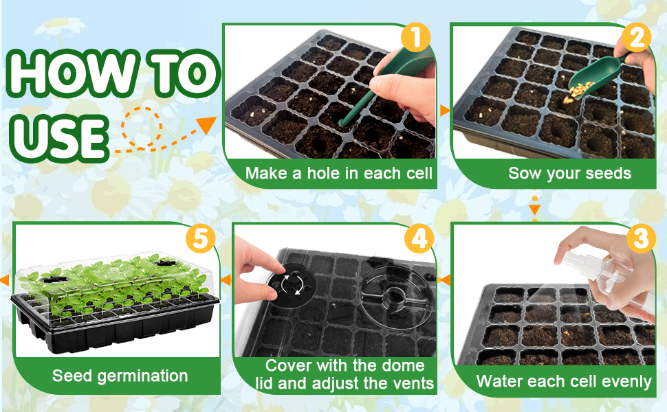 plant germination kit