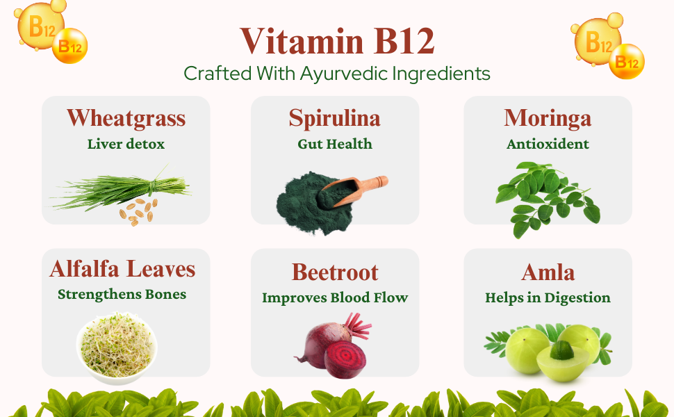 SPN - BFCC VItamin B12 Suppliment