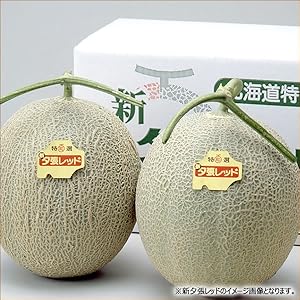Amazon.co.jp: 北海道産 メロン 新夕張レッド 1玉入り (1玉 約