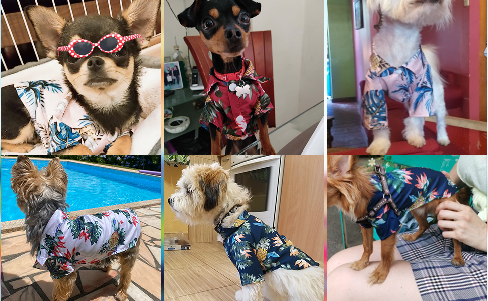 Dog Hawaiian Shirt Dog Shirts for Small Dogs Boy Summer Puppy Clothes French Bulldog