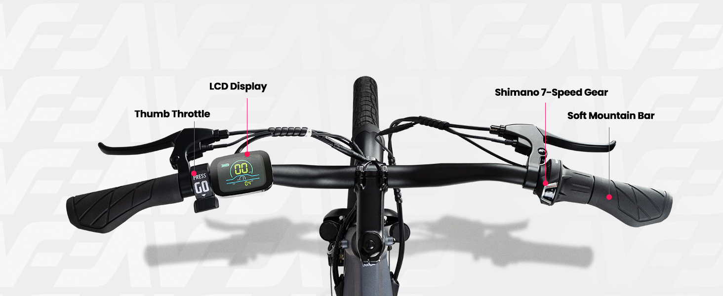 ebike