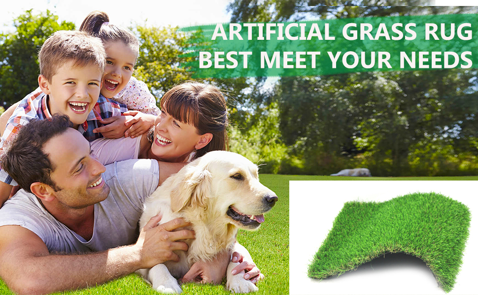 turf grass