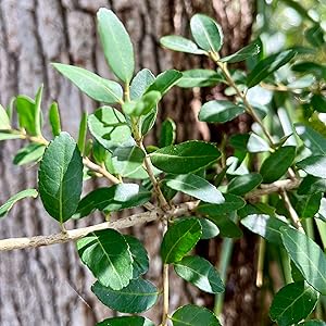 Small manufacture image 1