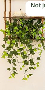 small fake Ivy Plants