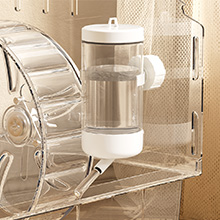 80 ml Leak-Proof Water Bottle