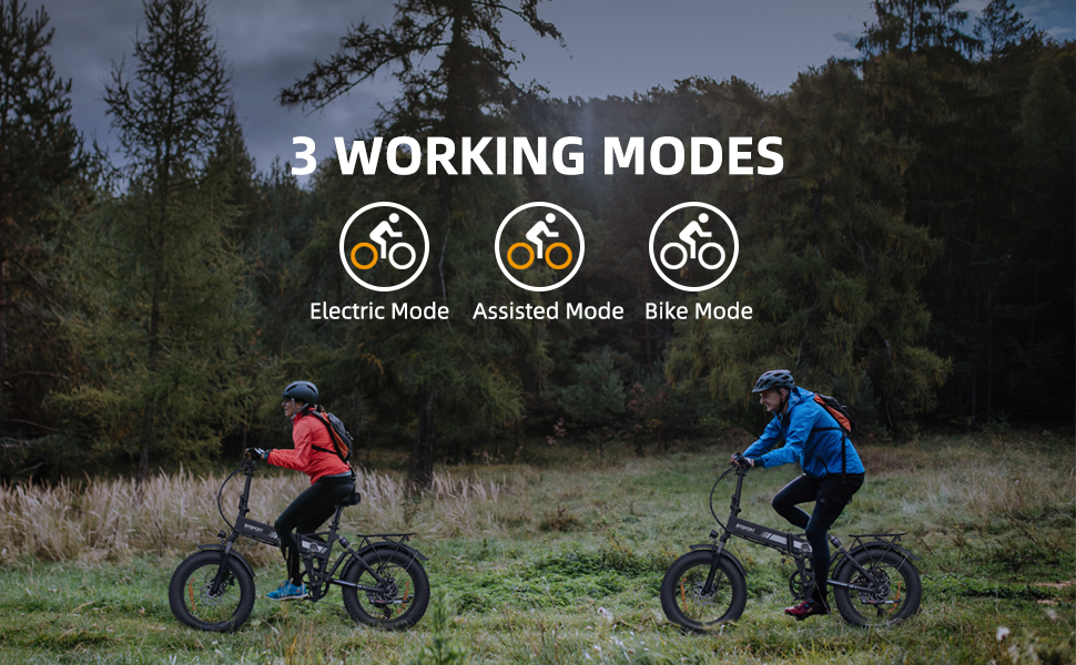 BFISPORT Electric Bike, 20" Ebike for Adults 750W Motor