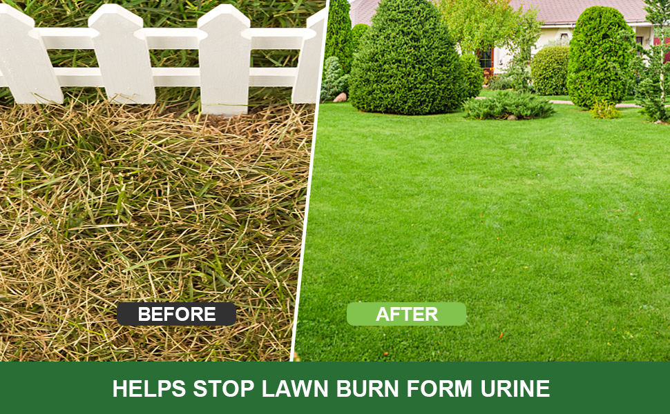 Grass Burn Spot Chews for Dogs Dog Pee Lawn Spot Saver