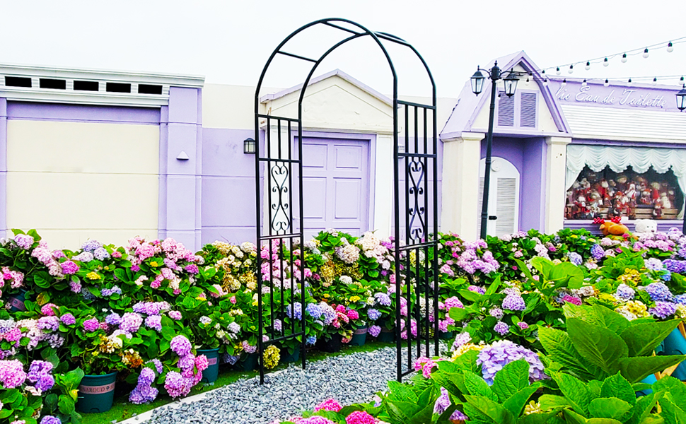 arbor