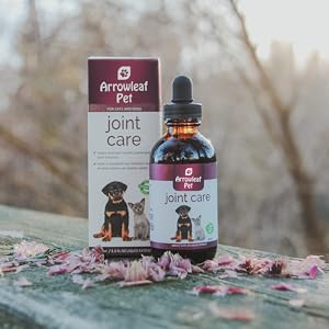 Arrowleaf Pet Joint Care boxes