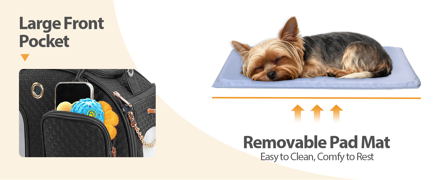 lightweight dog carrier