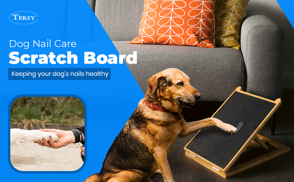 TERSY Dog Scratch Pad for Nails Dog Nail File Dog