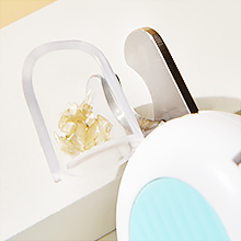 Bezel to collect nail clippings