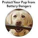 Yellow Lab shewing on a remote