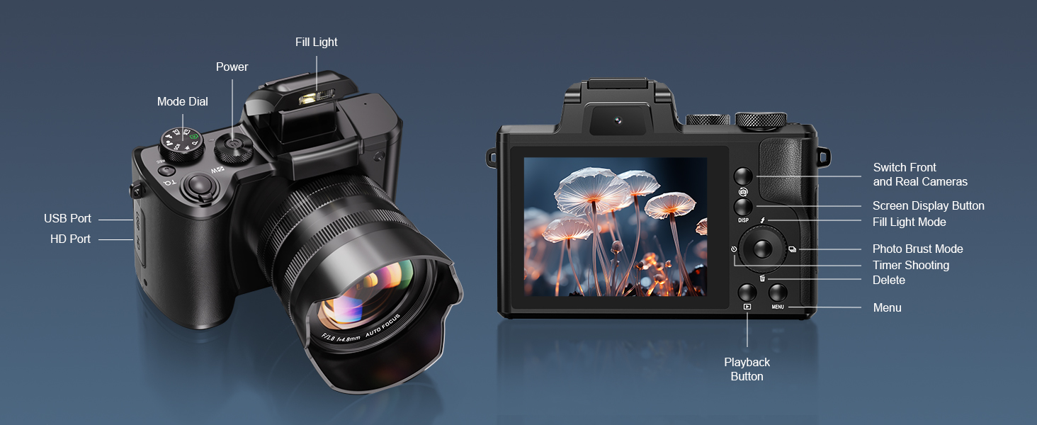 professtional digital camera