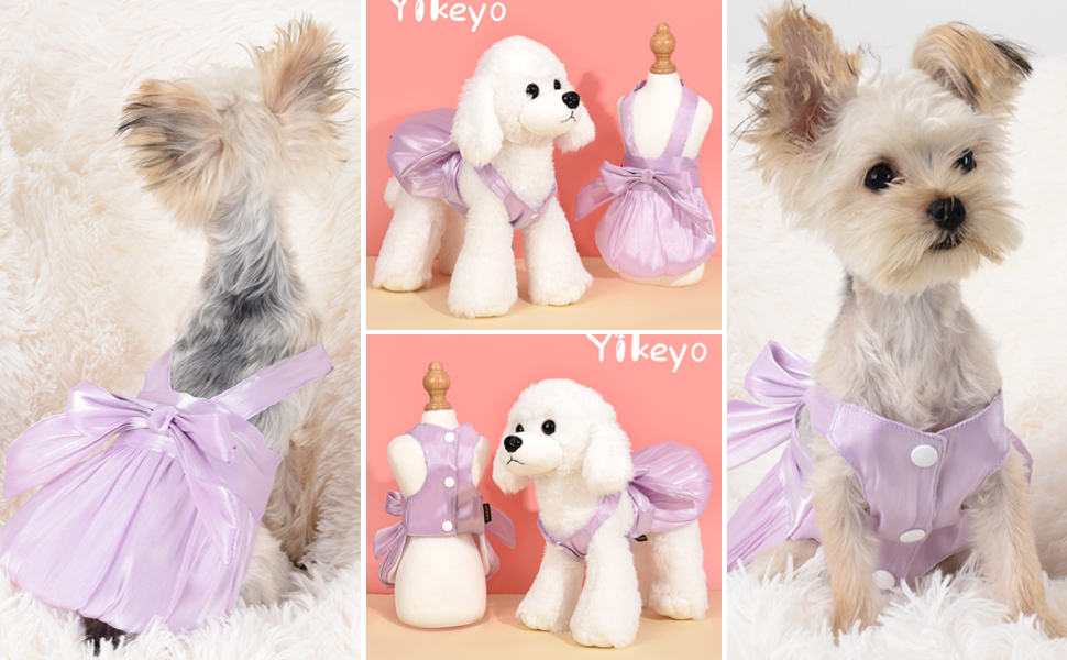 dog dress