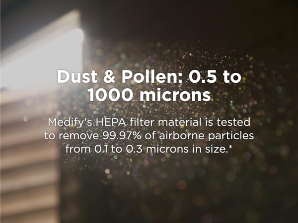 Dust & Pollen