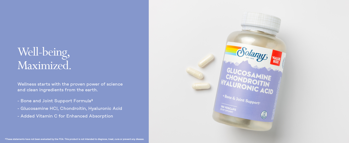 Glucosamine & Chondroitin w/ Hyaluronic Acid