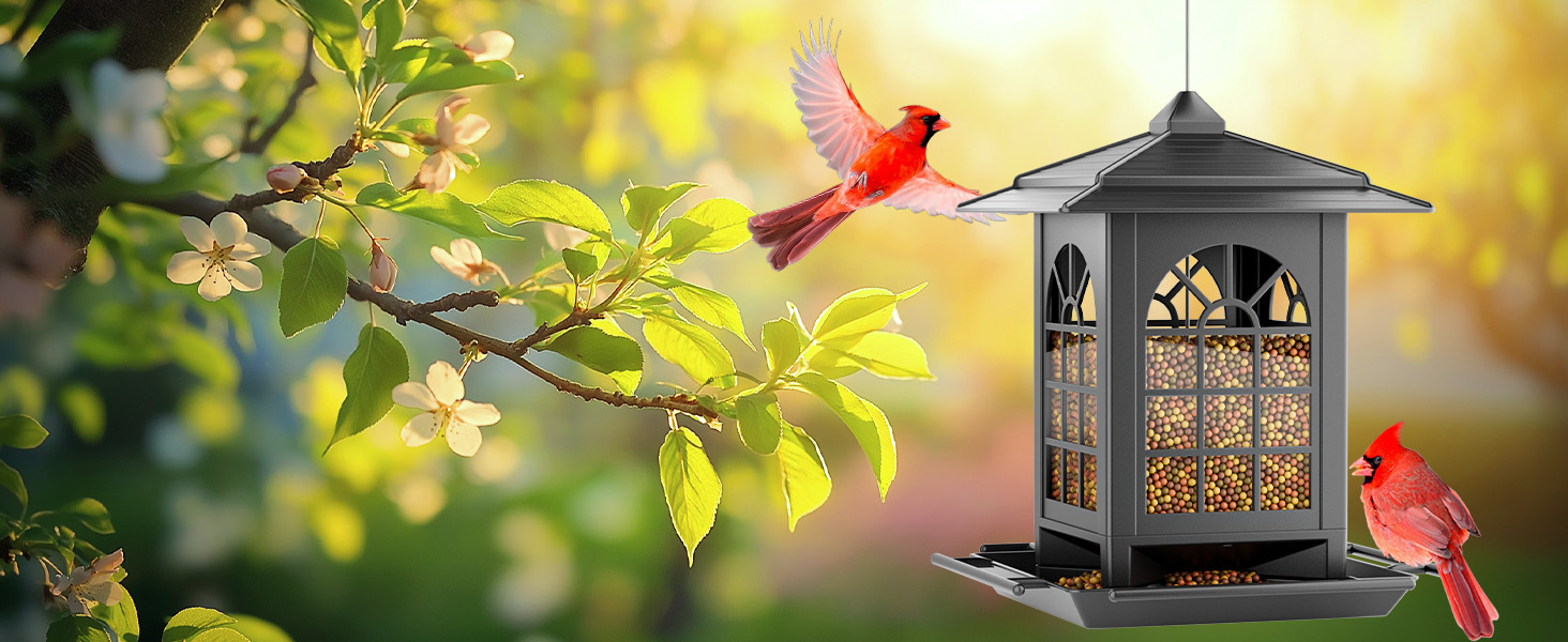 bird feeders for outdoors