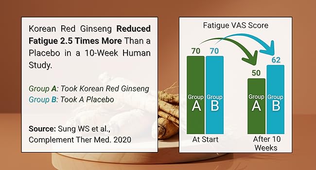 Large manufacture image 6