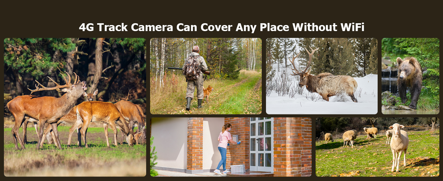 trail camera