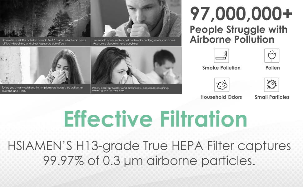 Core300-P Air Filter