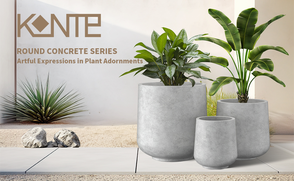 concrete planter